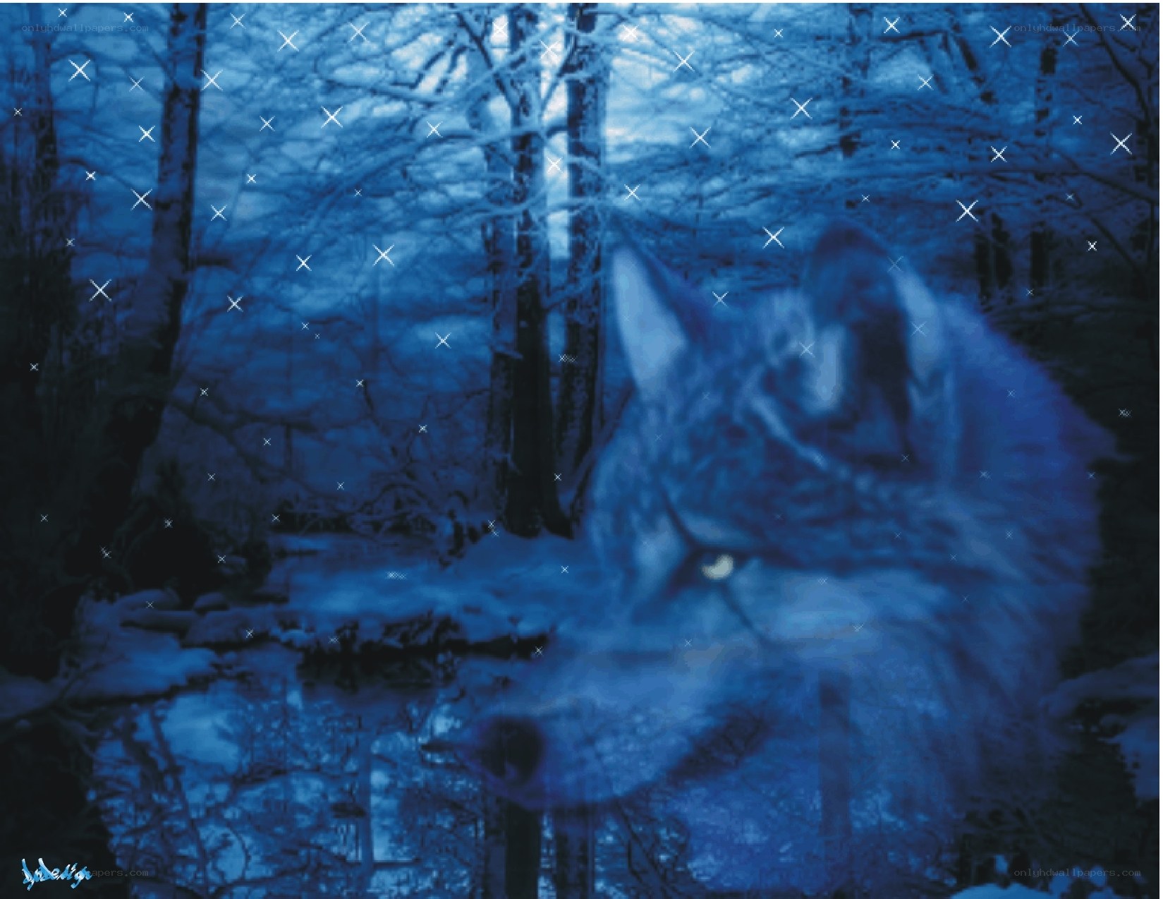 wolf in snowy forest