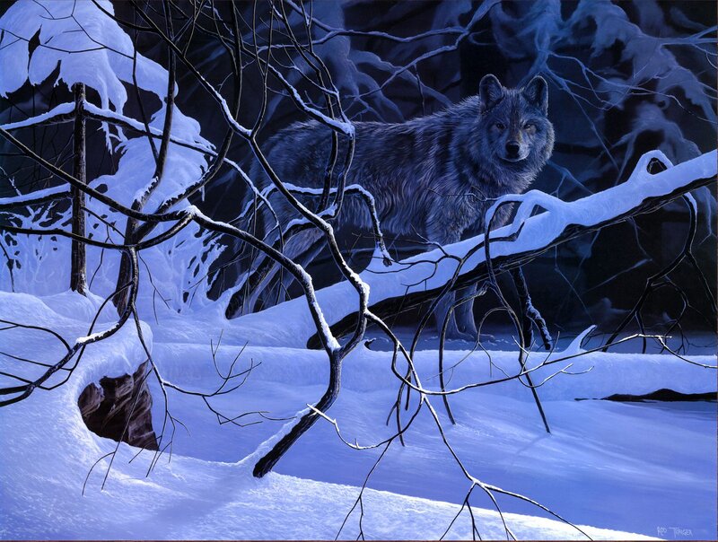 Wolf in Snowy Forest — Blue, Dramatic, Night, Digital Art