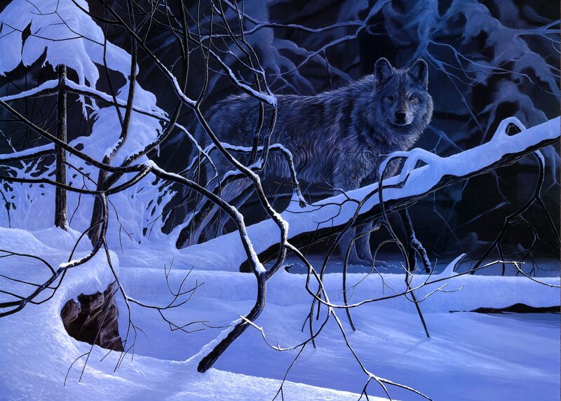 Wolf in Snowy Forest — Blue, Dramatic