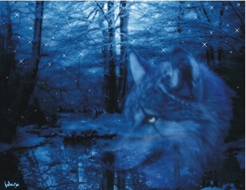 Wolf in Snowy Forest — Blue, Mystical, Night