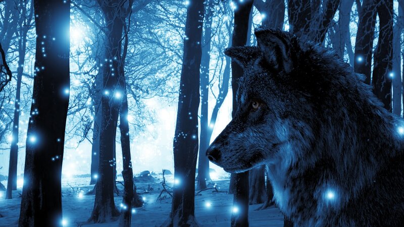 Wolf in Snowy Forest — Blue, Mystical