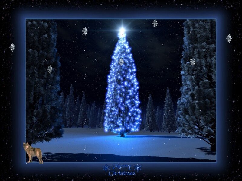Wolf in Snowy Forest — Blue