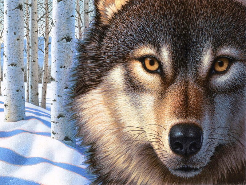 Wolf in Snowy Forest — Brown, Calm, Winter, Digital Art