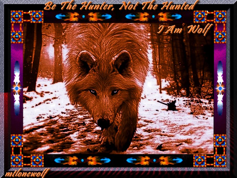 Wolf in Snowy Forest — Brown, Dramatic