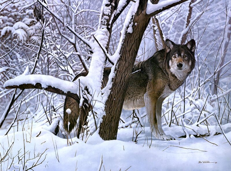 Wolf in Snowy Forest — White, Calm, Winter, Painting