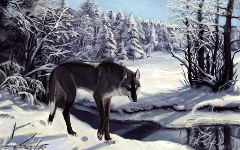 Wolf in Snowy Forest — White, Cold, Winter, Digital Art, Snow, Trees