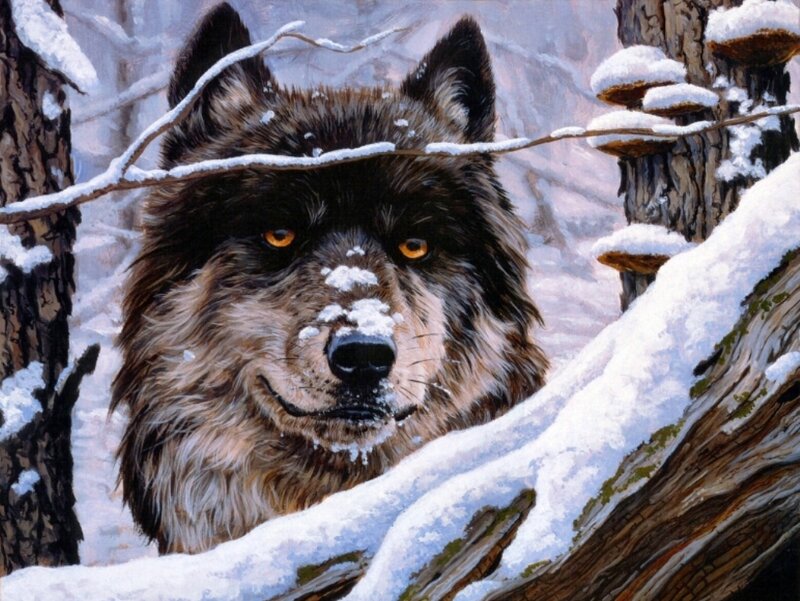 Wolf in Snowy Forest — White, Cold, Winter, Painting