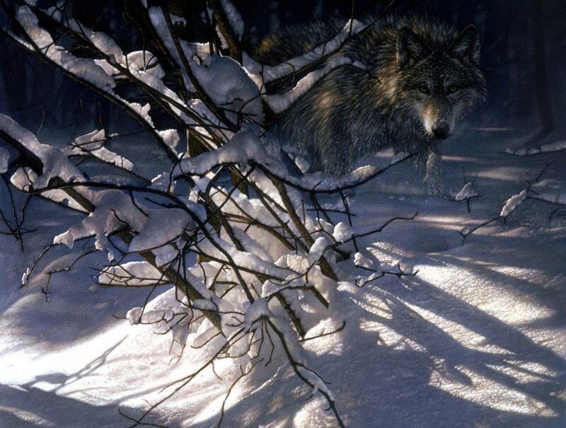 Wolf in Snowy Forest — White, Dramatic, Winter, Painting