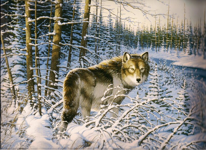 Wolf in Snowy Forest — White, Serene