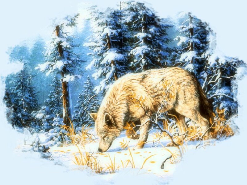 Wolf in Snowy Forest — White, Serene, Winter, Illustration