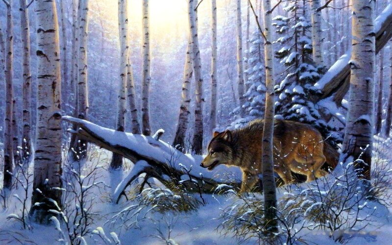 Wolf in Snowy Forest — White, Serene, Winter, Painting