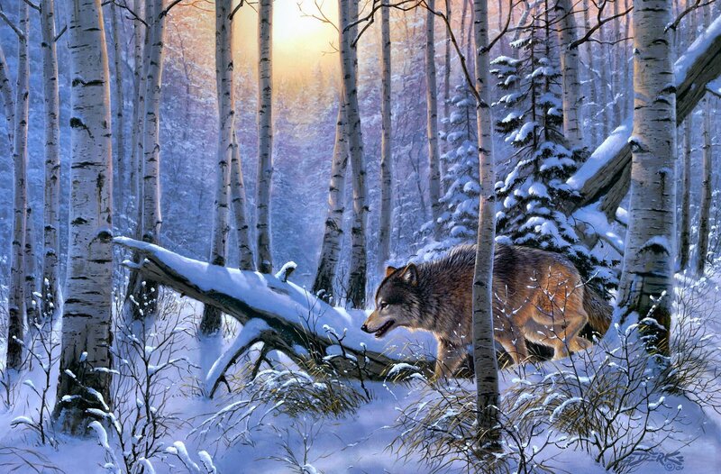 Wolf in Snowy Forest — White, Serene, Winter