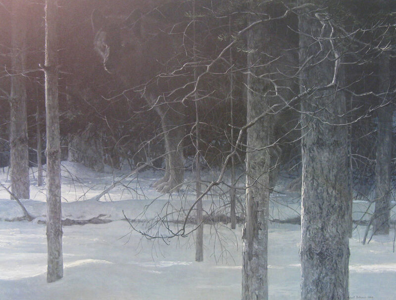 Wolf in Snowy Forest — White, Somber