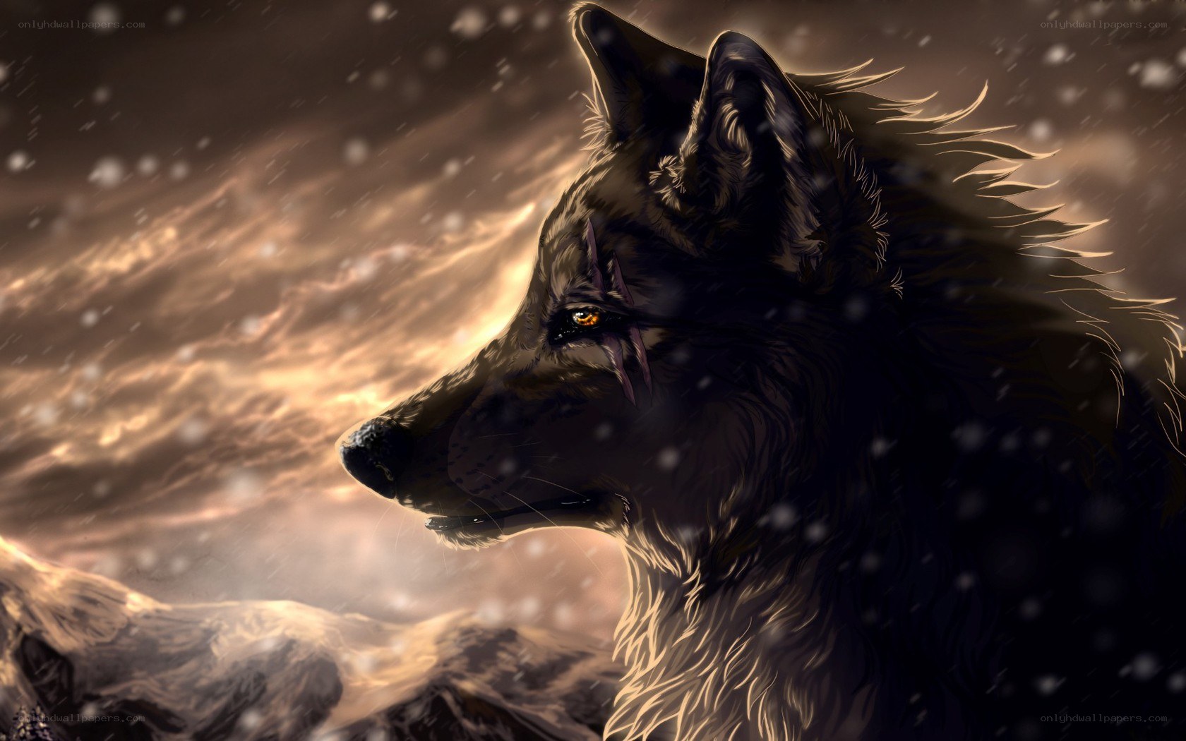 wolf in snowy landscape