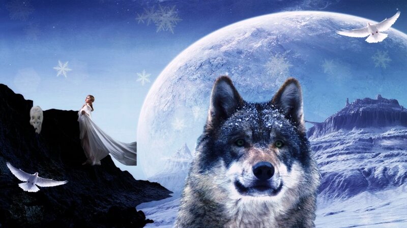Wolf in Snowy Landscape — Blue, Fantasy