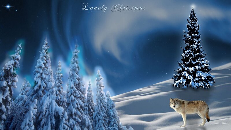 Wolf in Snowy Landscape — Blue, Serene
