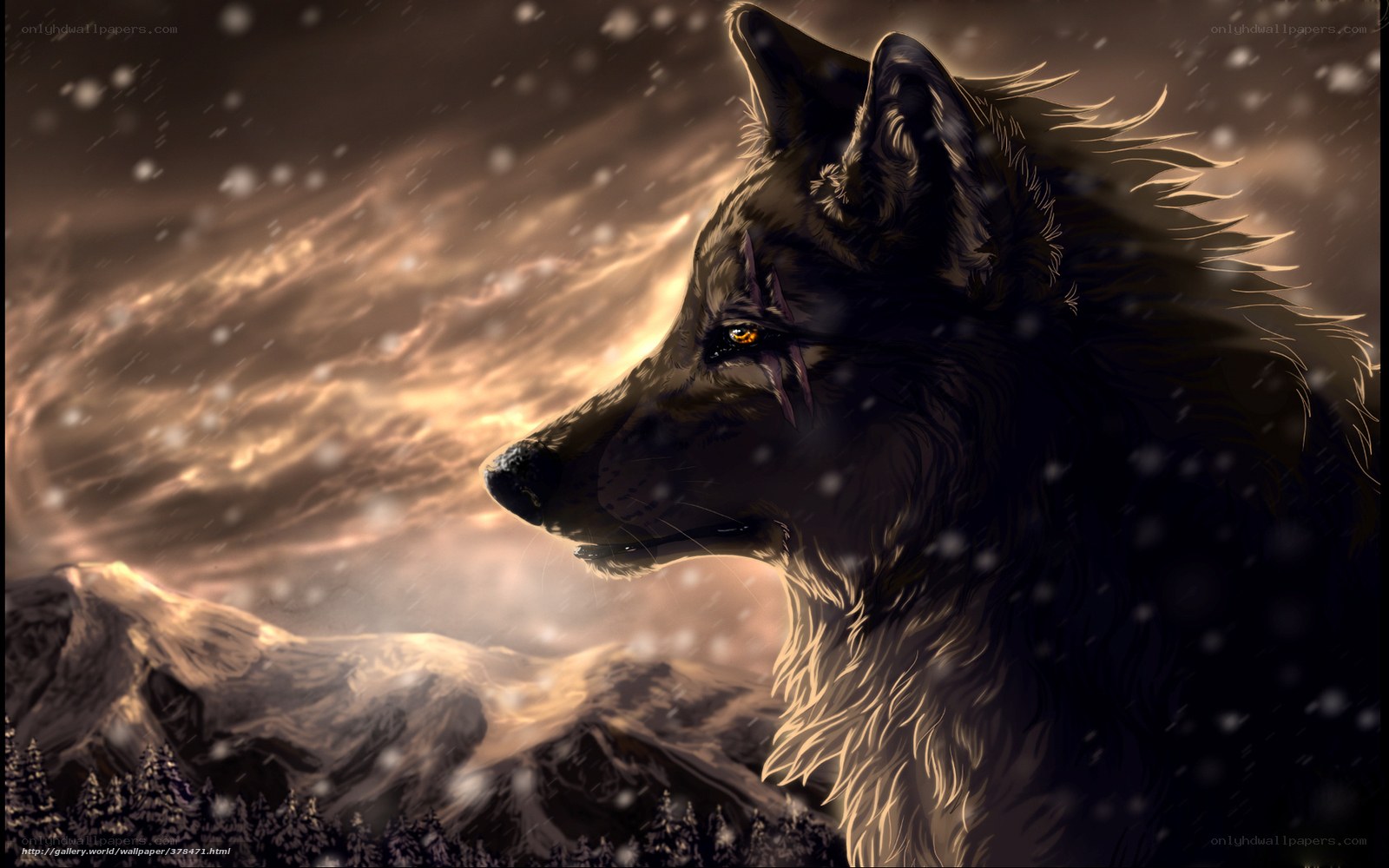 wolf in snowy mountains