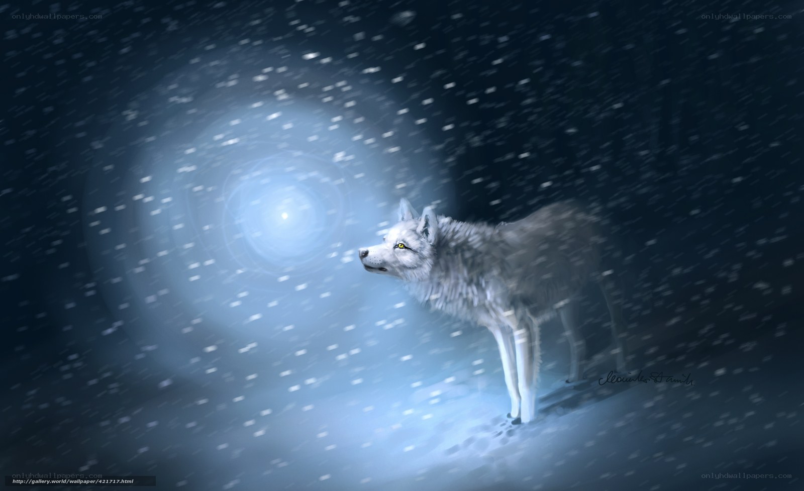 wolf in snowy night