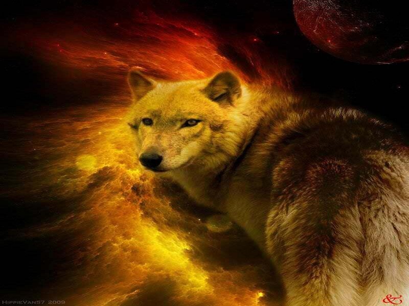 Wolf in Space