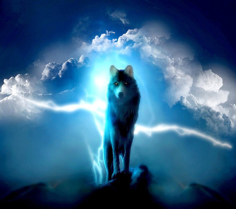 Wolf in Storm — Blue, Dramatic, Night
