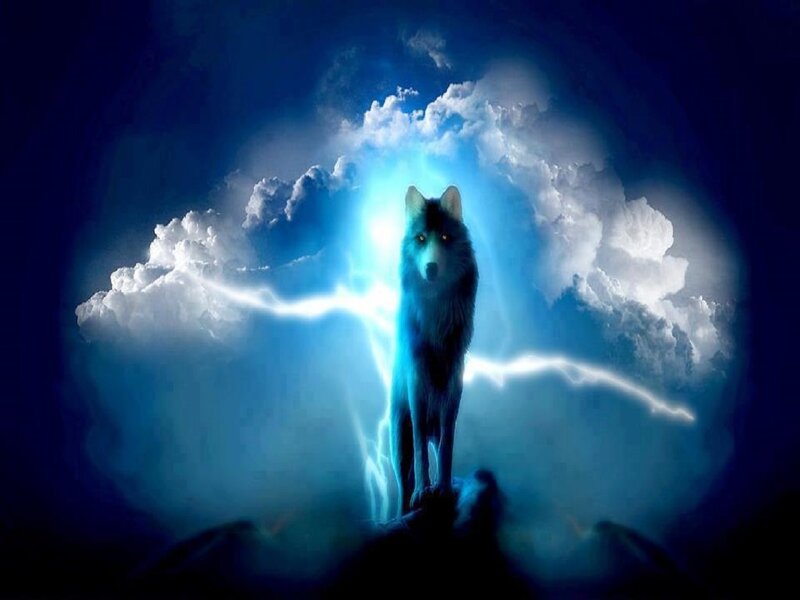Wolf in Storm — Blue, Dramatic
