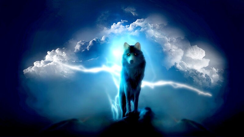 Wolf in Storm — Blue