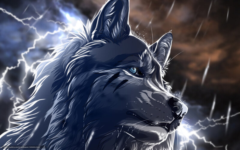 wolf in storm with lightning