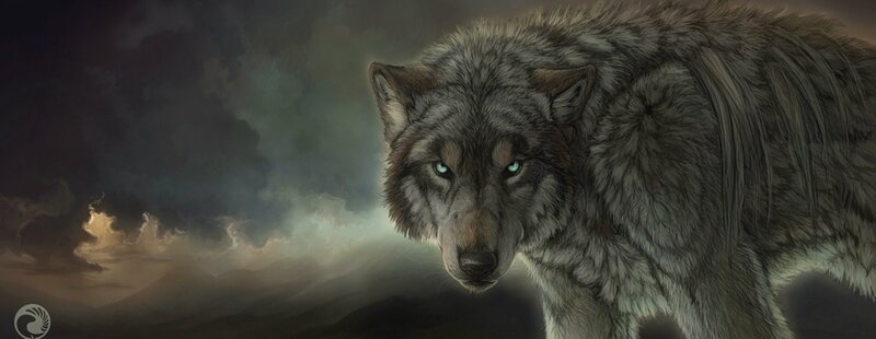 wolf in stormy landscape