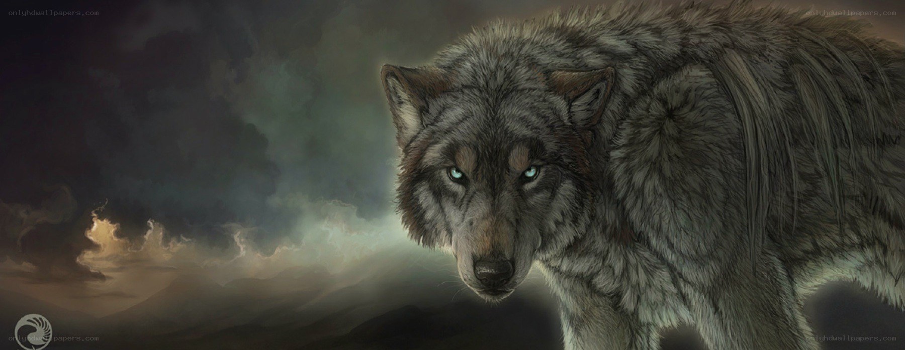 wolf in stormy landscape