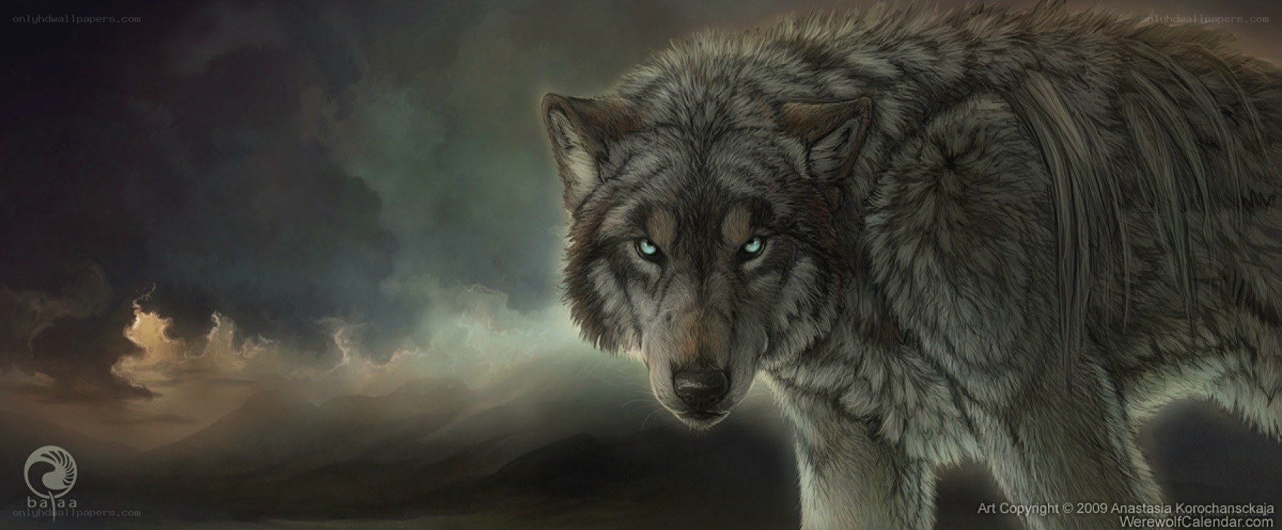 wolf in stormy landscape