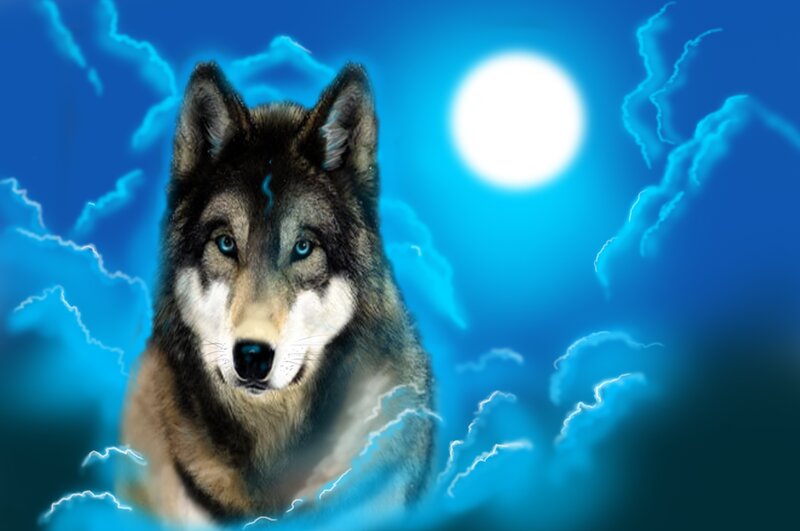 Wolf in Stormy Sky — Blue