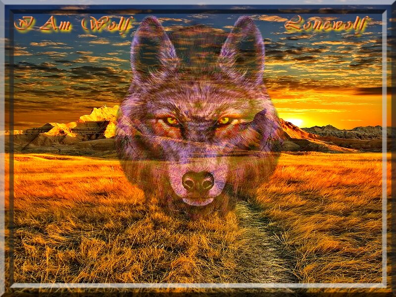 Wolf in Sunset Landscape