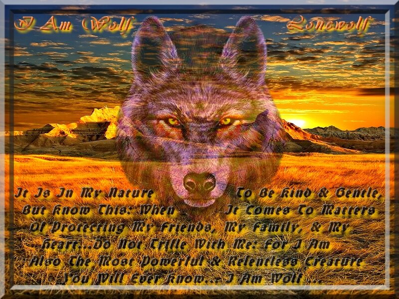 Wolf in Sunset — Orange, Dramatic
