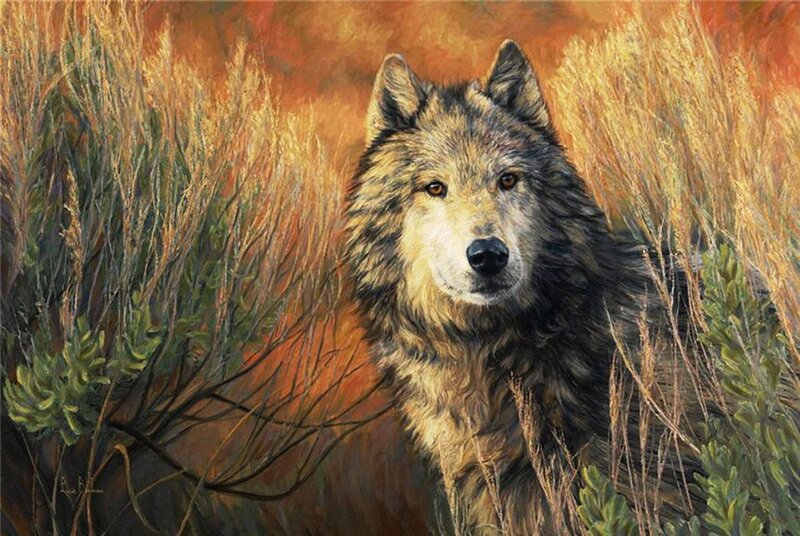 Wolf in Tall Grass — Brown, Natural