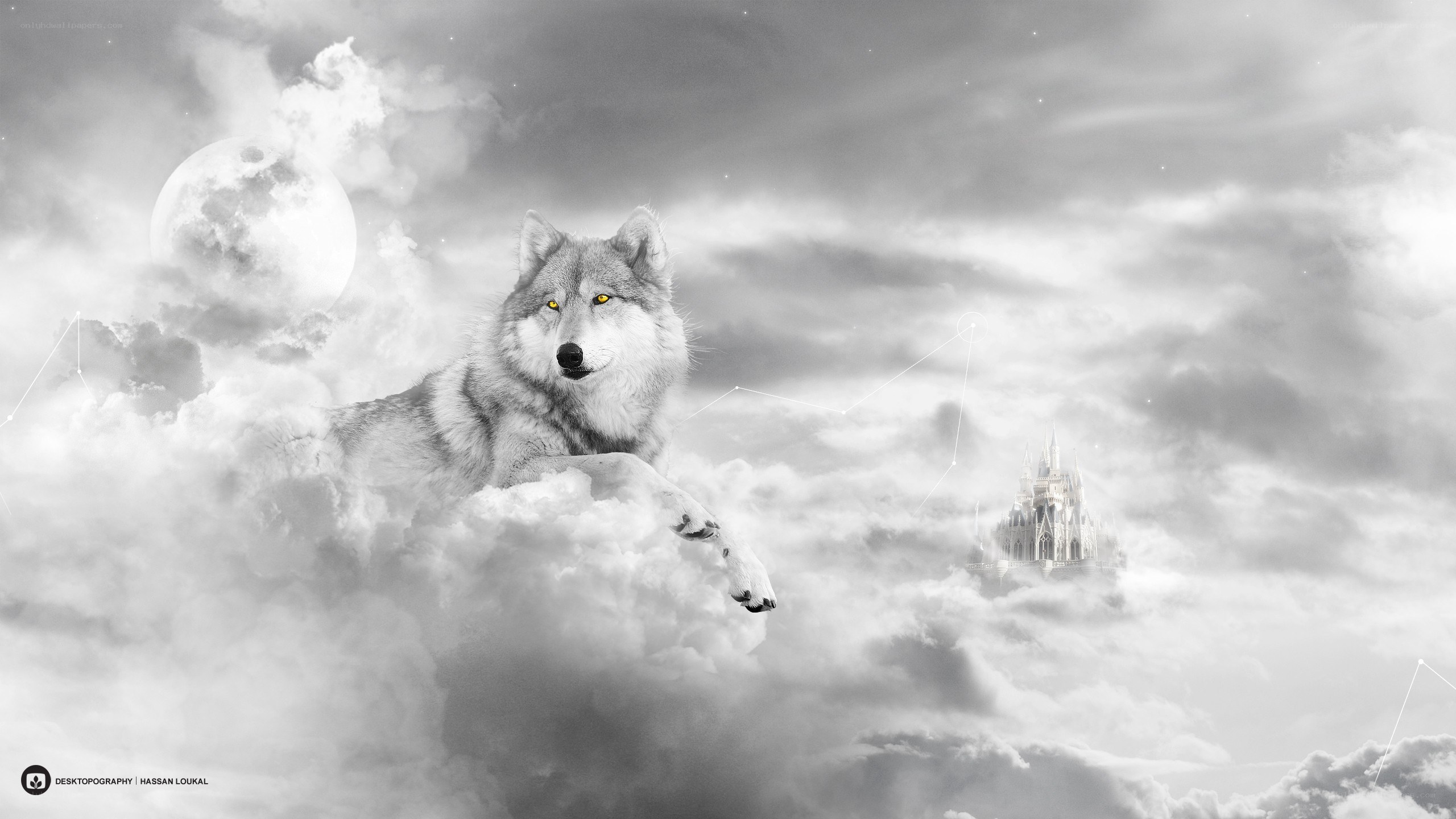 wolf in the clouds