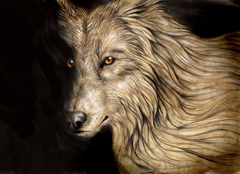 wolf in the dark