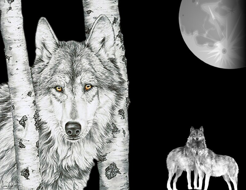 wolf in the moonlight