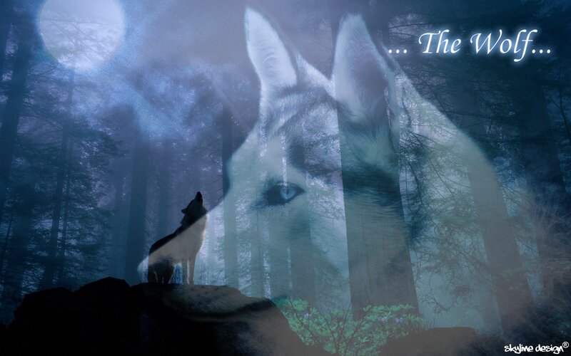 Wolf in the Moonlit Forest