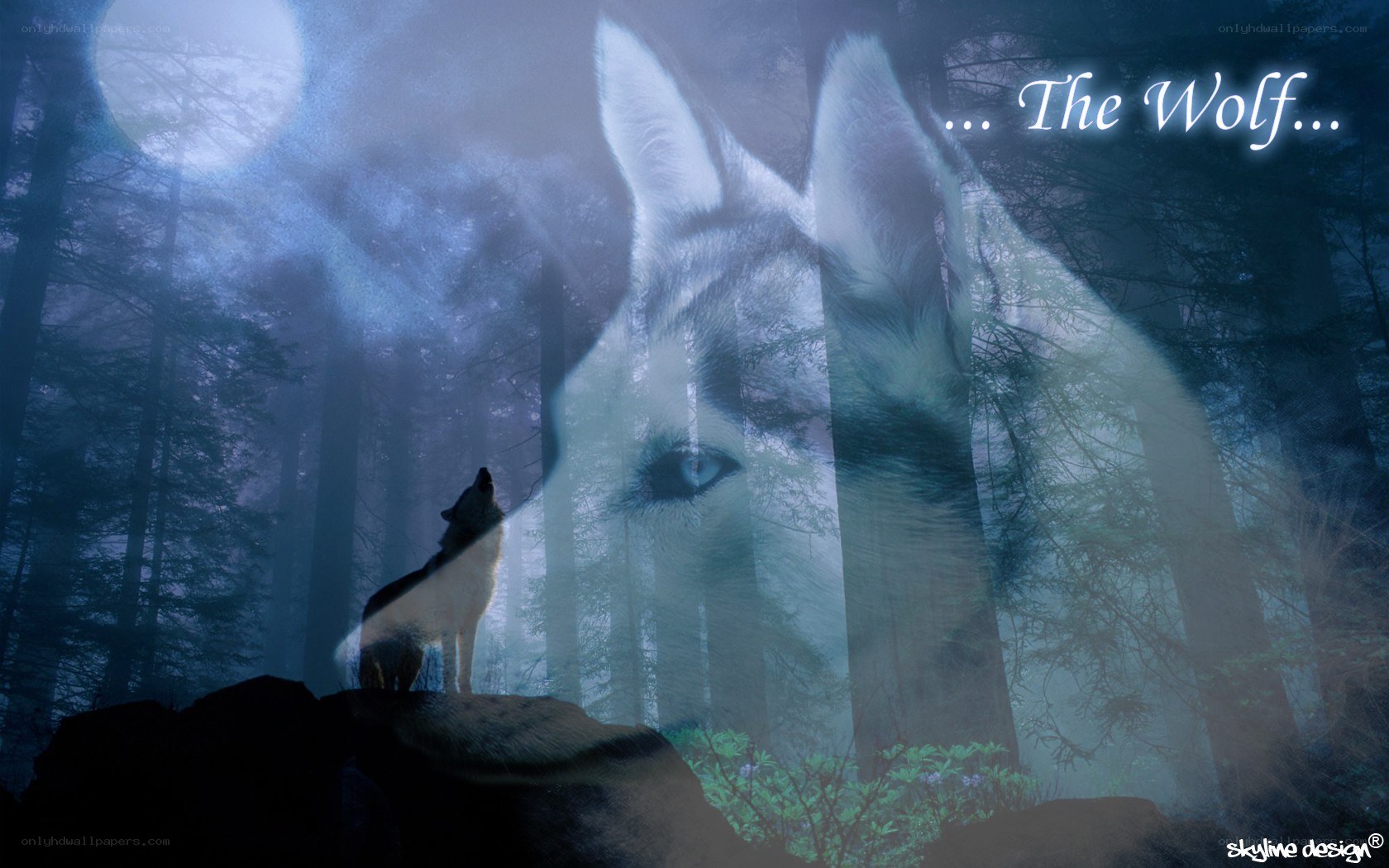 Wolf in the Moonlit Forest