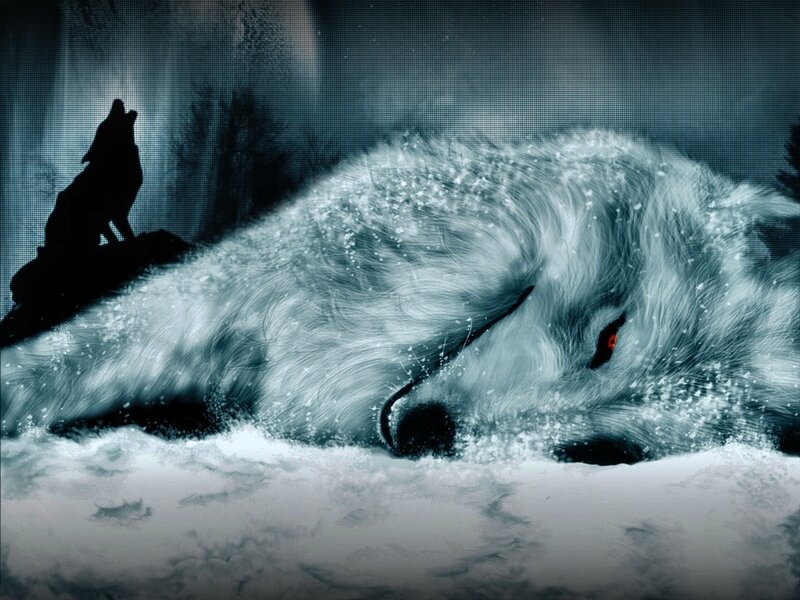 wolf in the snow