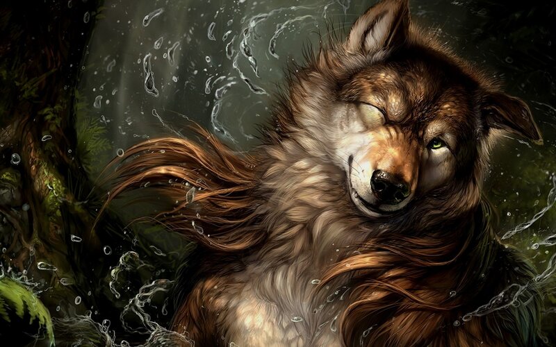 Wolf in Water — Brown, Serene