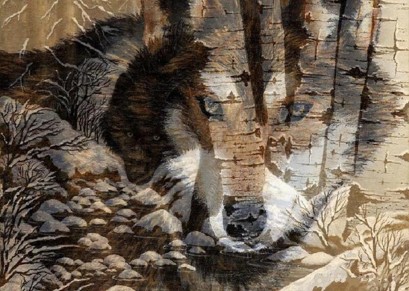 Wolf in Winter Forest — Brown, Dramatic