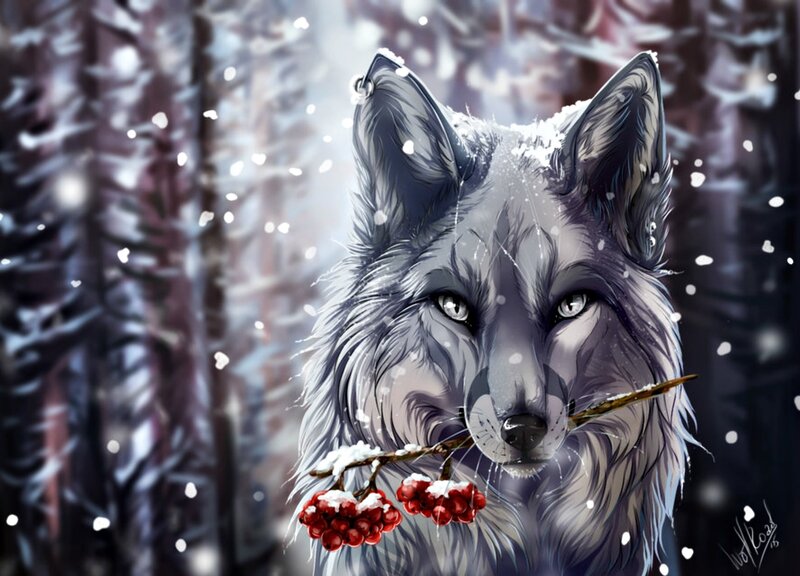 Wolf in Winter Forest — Gray, Serene