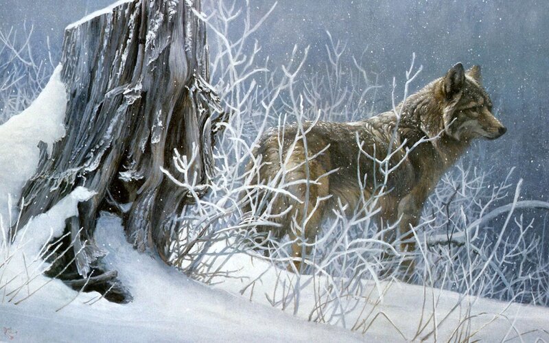 Wolf in Winter Forest — White, Cold, Painting, Snow