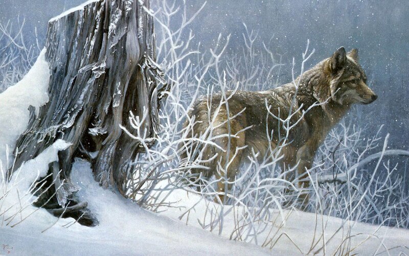 Wolf in Winter Forest — White, Cold, Painting