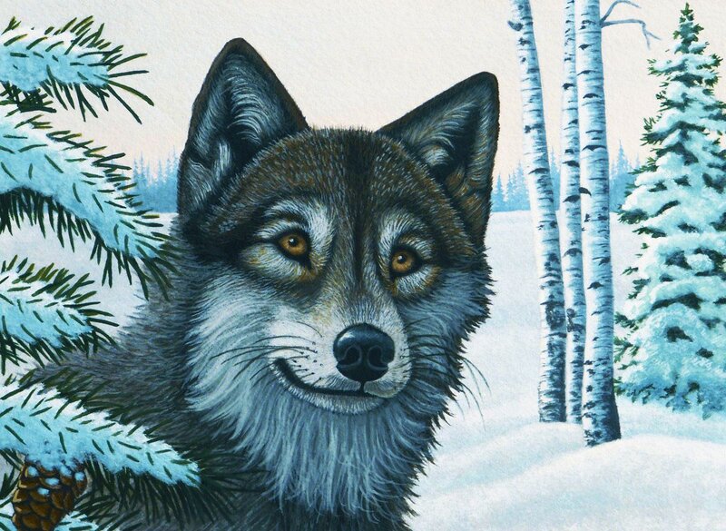 Wolf in Winter Forest — White, Serene