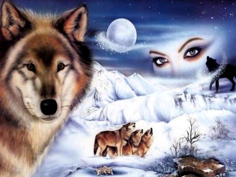 Wolf in Winter Landscape — Blue, Dramatic, Night