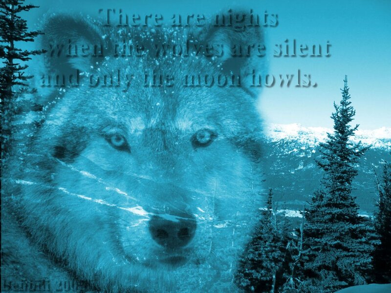 Wolf in Winter Landscape — Blue, Serene, Night