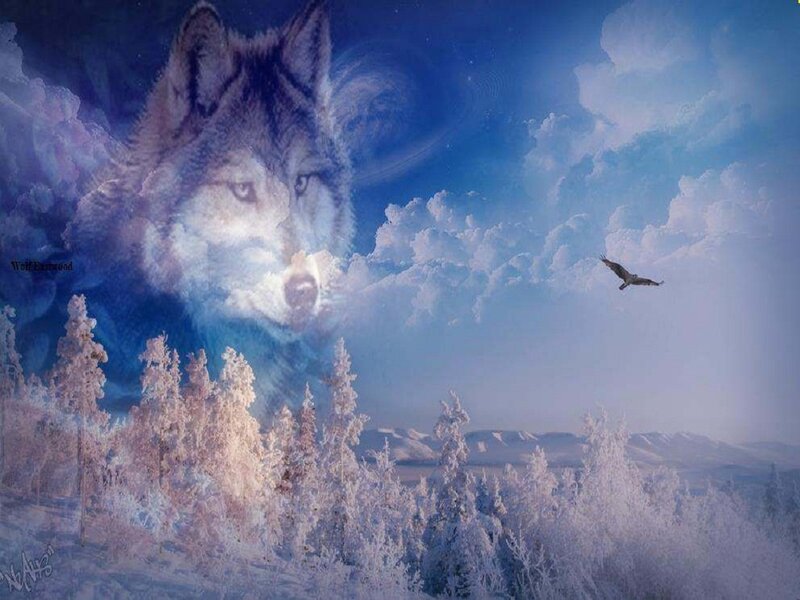 Wolf in Winter Landscape — Blue, Serene