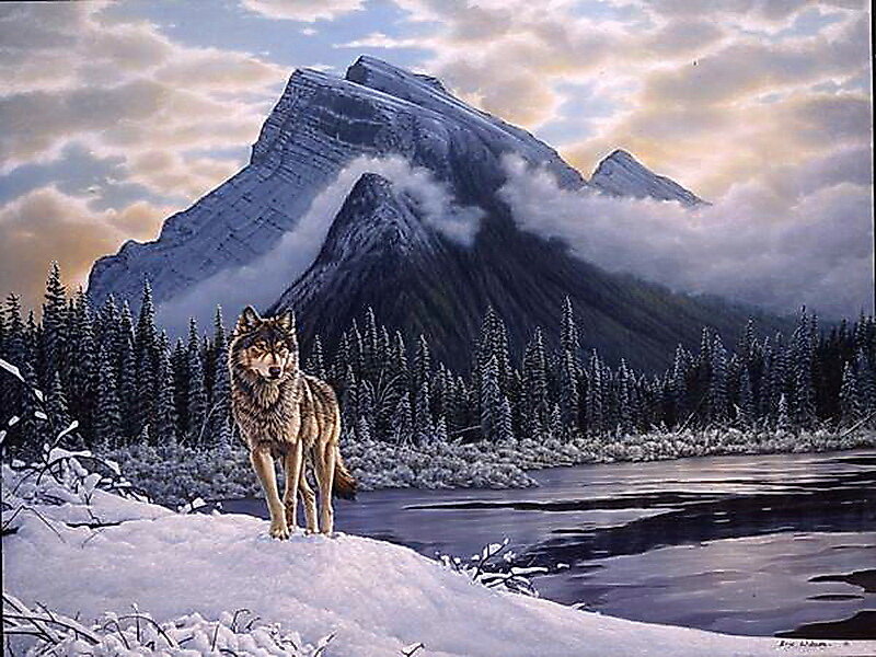 Wolf in Winter Landscape — White, Serene